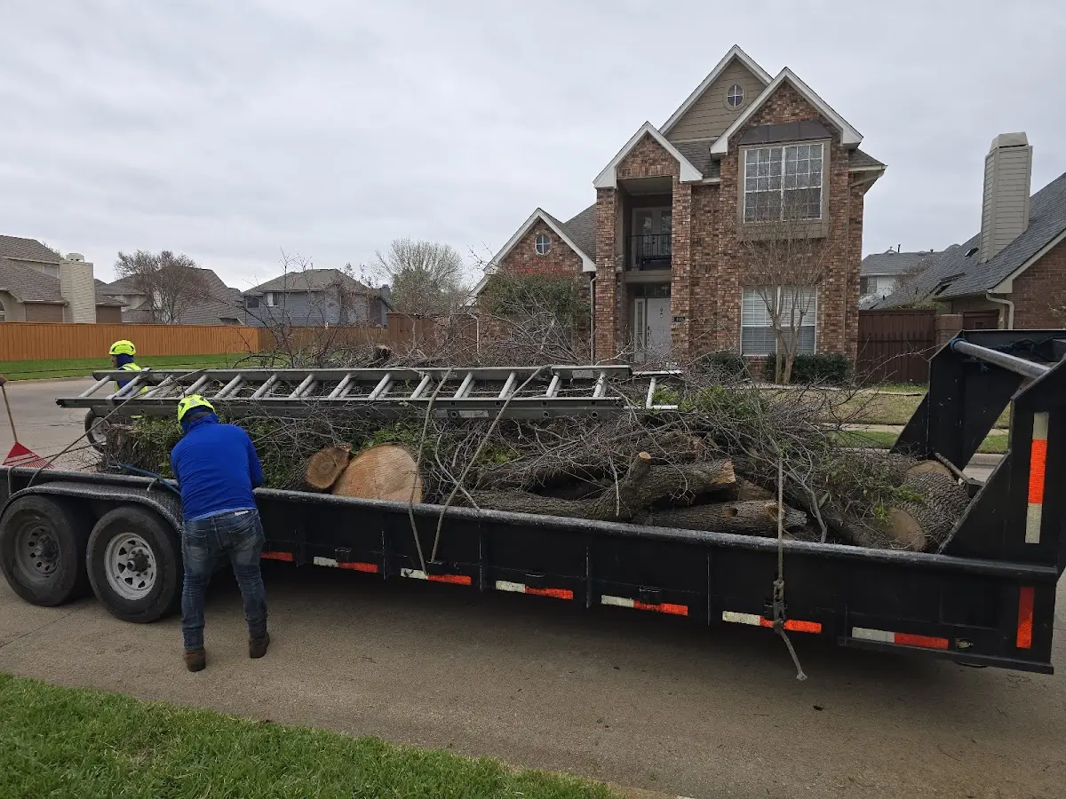 Expert Lot Clearing with proper safety equipment in Pembroke
